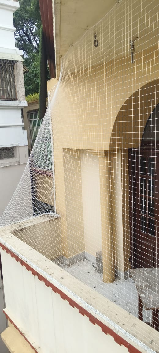 Anti-Bird Nets